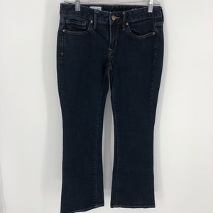 Gap 1969 Long and Lean Jeans
